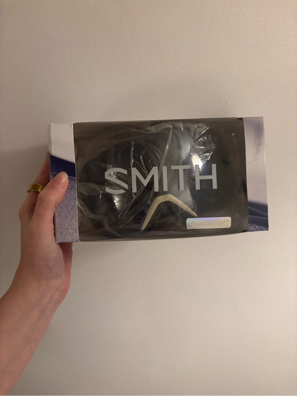 NWT SMITH Skyline Goggles